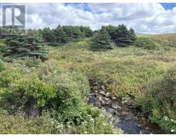 Lot 2 Cabot Trail, Terre Noire, NS B0E1Y0 Photo 7