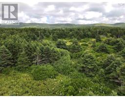 Lot 2 Cabot Trail, Terre Noire, NS B0E1Y0 Photo 11