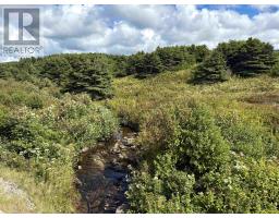 Lot 2 Cabot Trail, Terre Noire, NS B0E1Y0 Photo 6