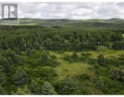 Lot 2 Cabot Trail, Terre Noire, NS B0E1Y0 Photo 9