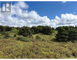 Lot 2 Cabot Trail, Terre Noire, NS B0E1Y0 Photo 8
