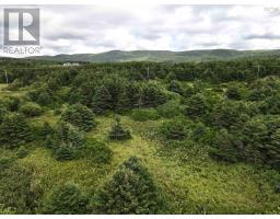 Lot 2 Cabot Trail, Terre Noire, NS B0E1Y0 Photo 10