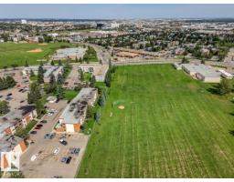 3803 108 St Nw, Edmonton, AB T6J1B5 Photo 61