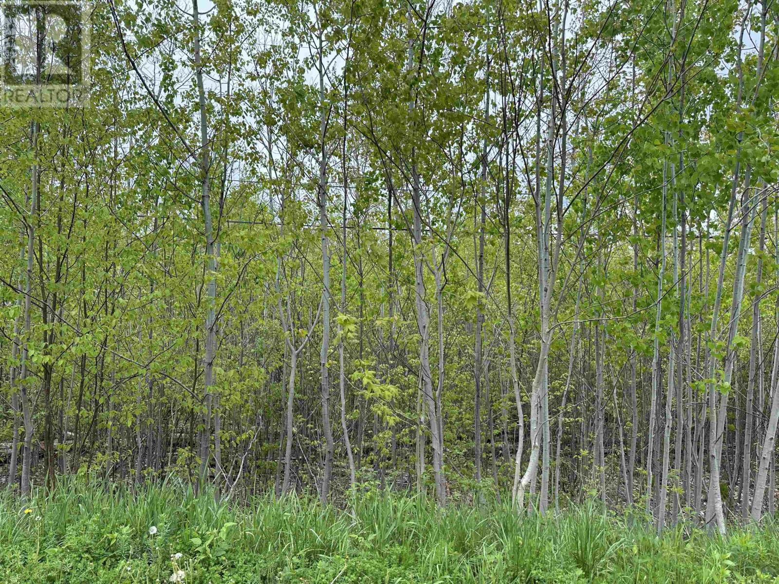 Property 10 of 20 of Lot 19 Acres+- Wallace Road