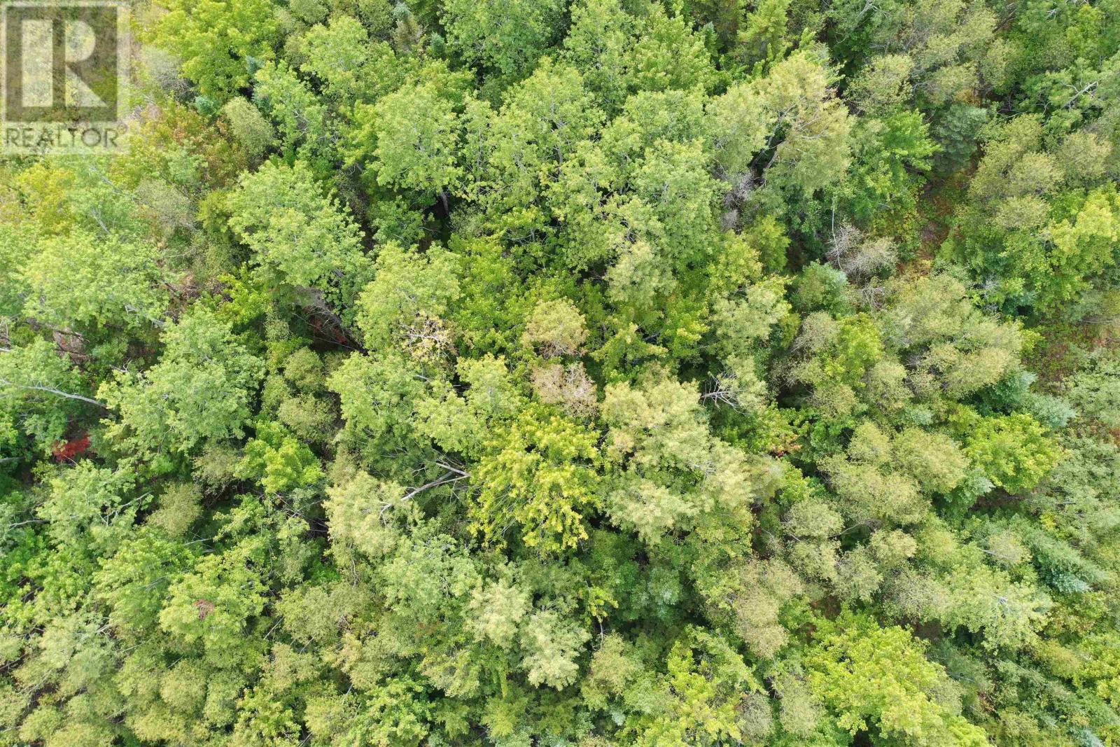 Property 20 of 20 of Lot 19 Acres+- Wallace Road