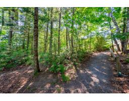 469 Skene Road, Marmora And Lake, ON K0L1W0 Photo 34
