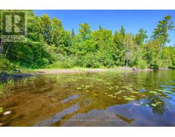 469 Skene Road, Marmora And Lake, ON K0L1W0 Photo 41