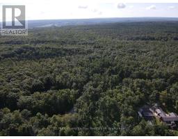 168 Peter Street E, Oro Medonte, ON L0K2C0 Photo 11
