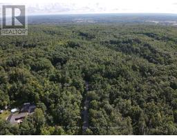 168 Peter Street E, Oro Medonte, ON L0K2C0 Photo 12