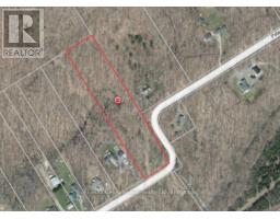 168 Peter Street E, Oro Medonte, ON L0K2C0 Photo 8
