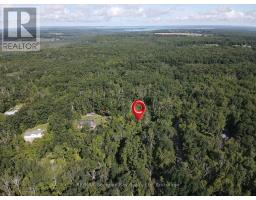 168 Peter Street E, Oro Medonte, ON L0K2C0 Photo 9