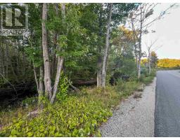 Lot Bangor Road, Bangor, NS B0W2L0 Photo 13
