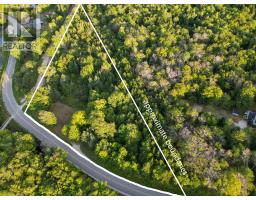Lot Bangor Road, Bangor, NS B0W2L0 Photo 11