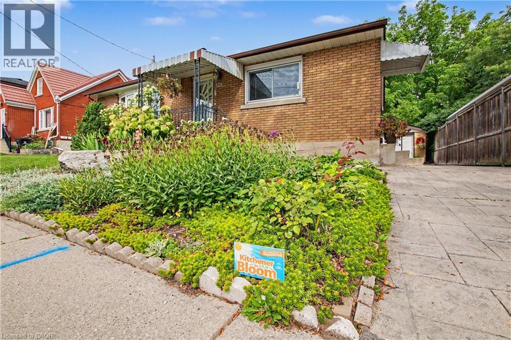 240 GUELPH Street - 4