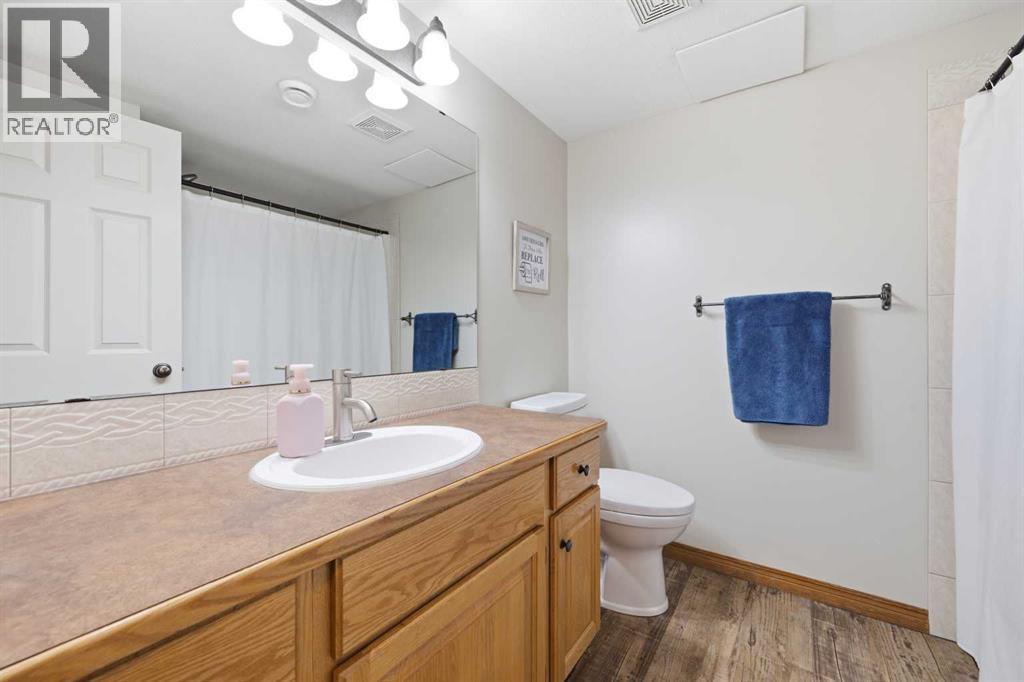 Lower bathroom