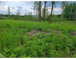 Third Avenue Range Rd 222 (sec Hwy 824), Ardrossan, AB T8E2A2 Photo 32