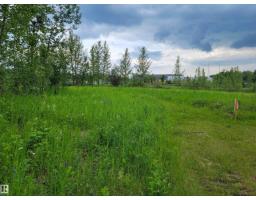 Third Avenue Range Rd 222 (sec Hwy 824), Ardrossan, AB T8E2A2 Photo 29