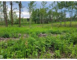 Third Avenue Range Rd 222 (sec Hwy 824), Ardrossan, AB T8E2A2 Photo 30