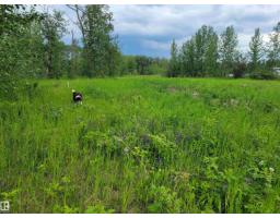 Third Avenue Range Rd 222 (sec Hwy 824), Ardrossan, AB T8E2A2 Photo 31