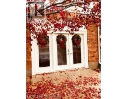 13 Kelly Avenue, Simcoe, ON N3Y4V6 Photo 48