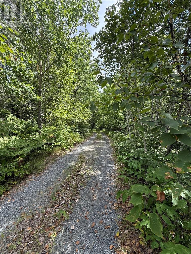 378 Courtemache - Image 14