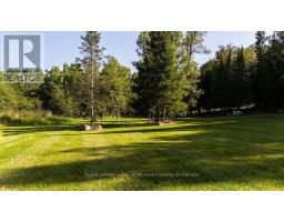 0 #520 Highway, Magnetawan, ON P0A1P0 Photo 8