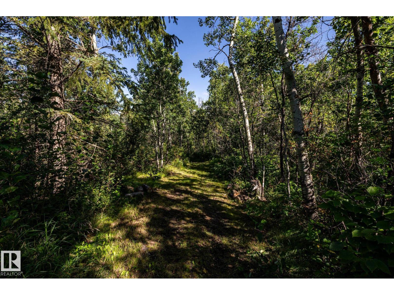 #86 22051 TWP ROAD 530 - Image 40