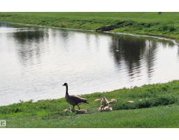 2958 Lakewood Dr Nw Nw, Edmonton, AB T5S1T7 Photo 26