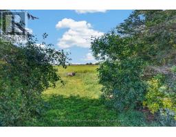 578 Bethel Road, Prince Edward County, ON K0K2T0 Photo 39