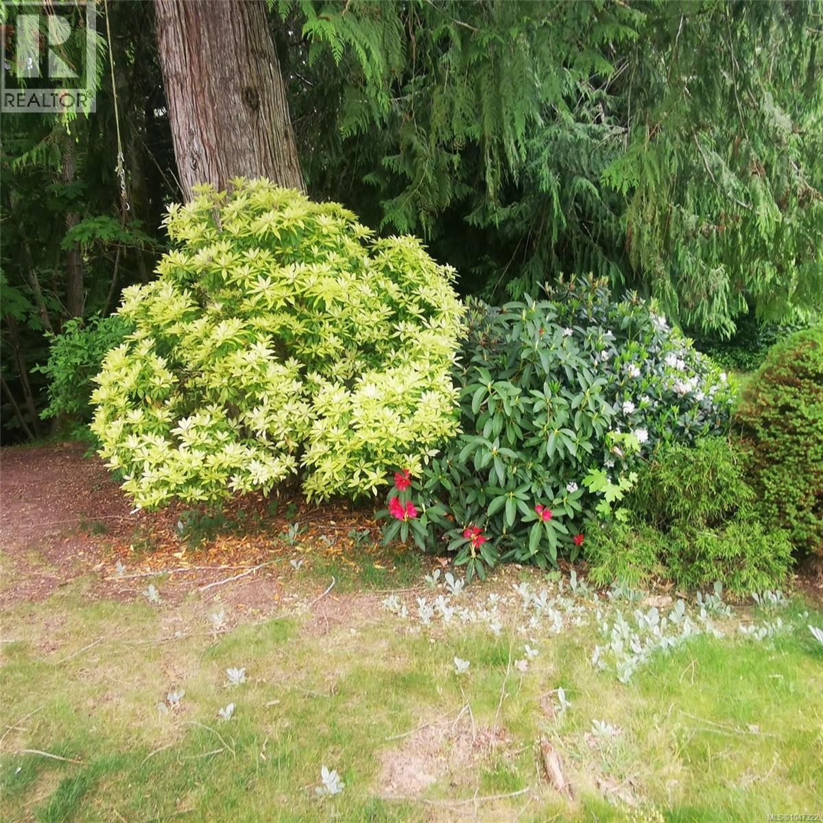 538 Rowan Dr, Qualicum Beach