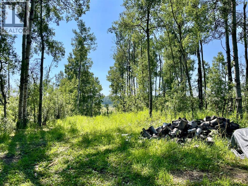 75033 Township Road 37-4 - Image 28