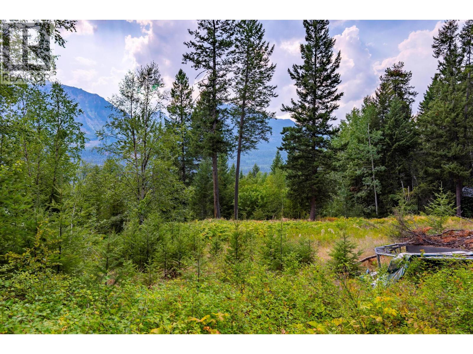  1396 Campbell Road, Golden - Image 1