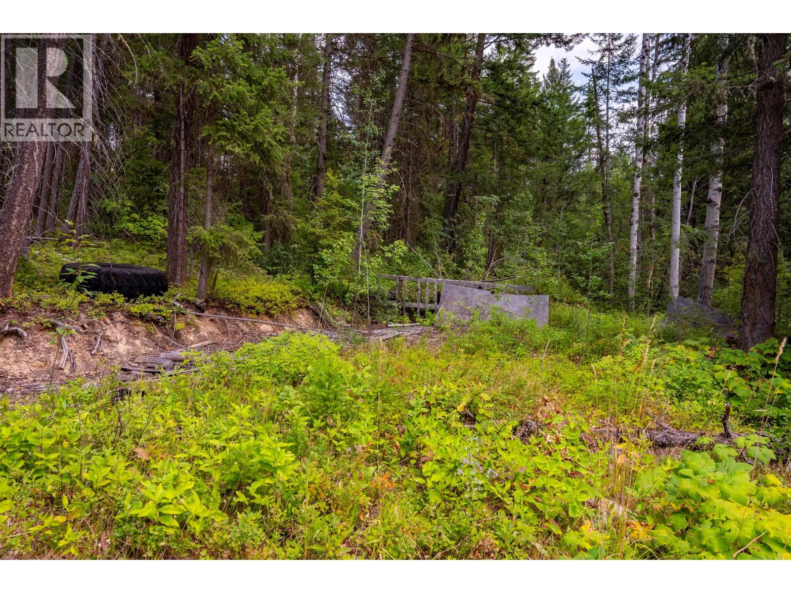  1396 Campbell Road, Golden - Image 1