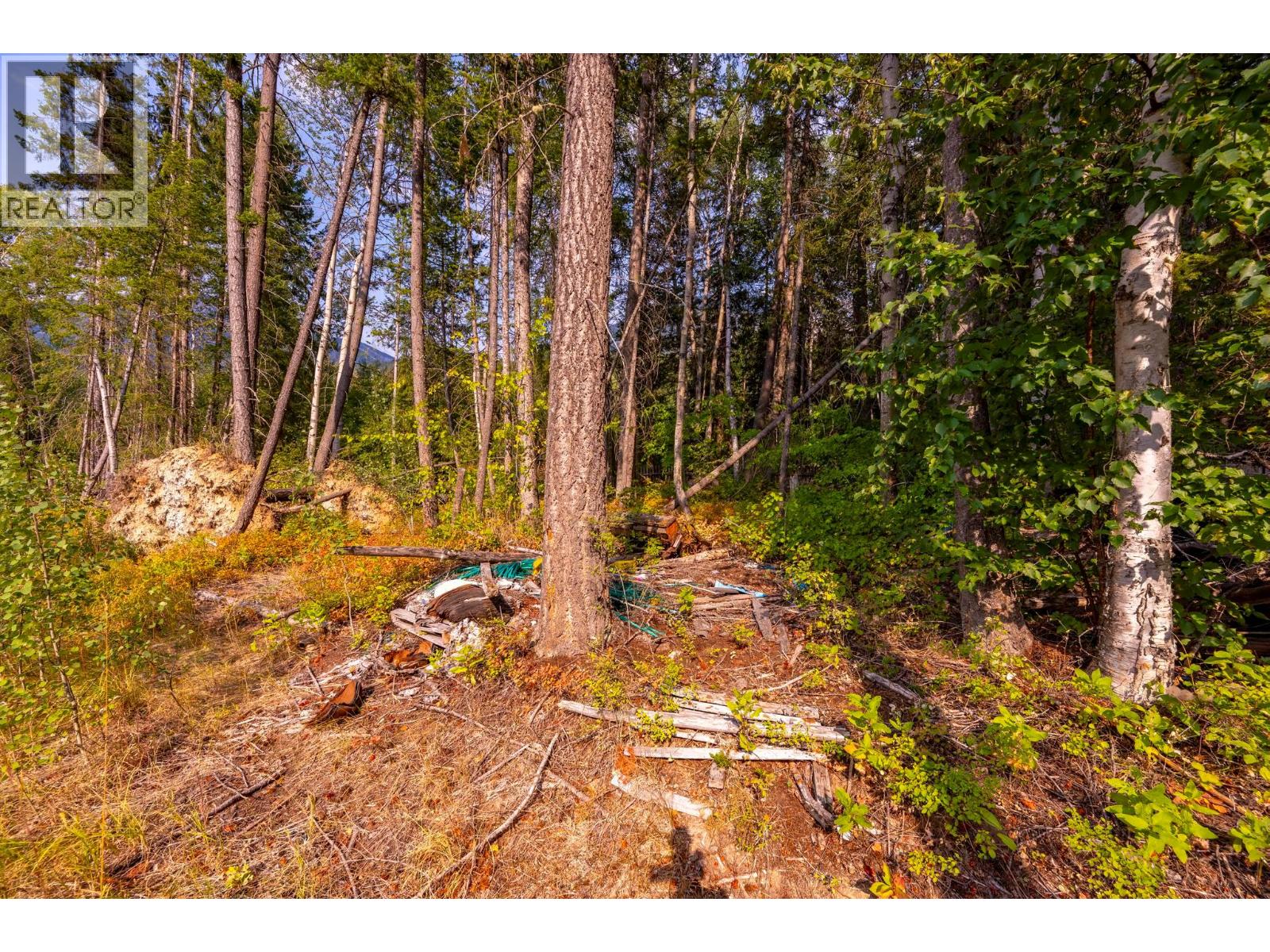  1396 Campbell Road, Golden - Image 1
