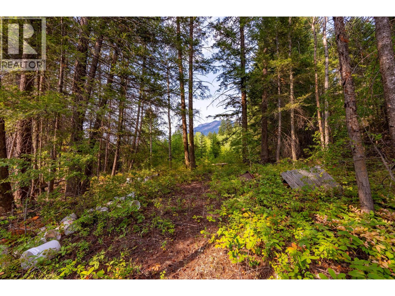  1396 Campbell Road, Golden - Image 1