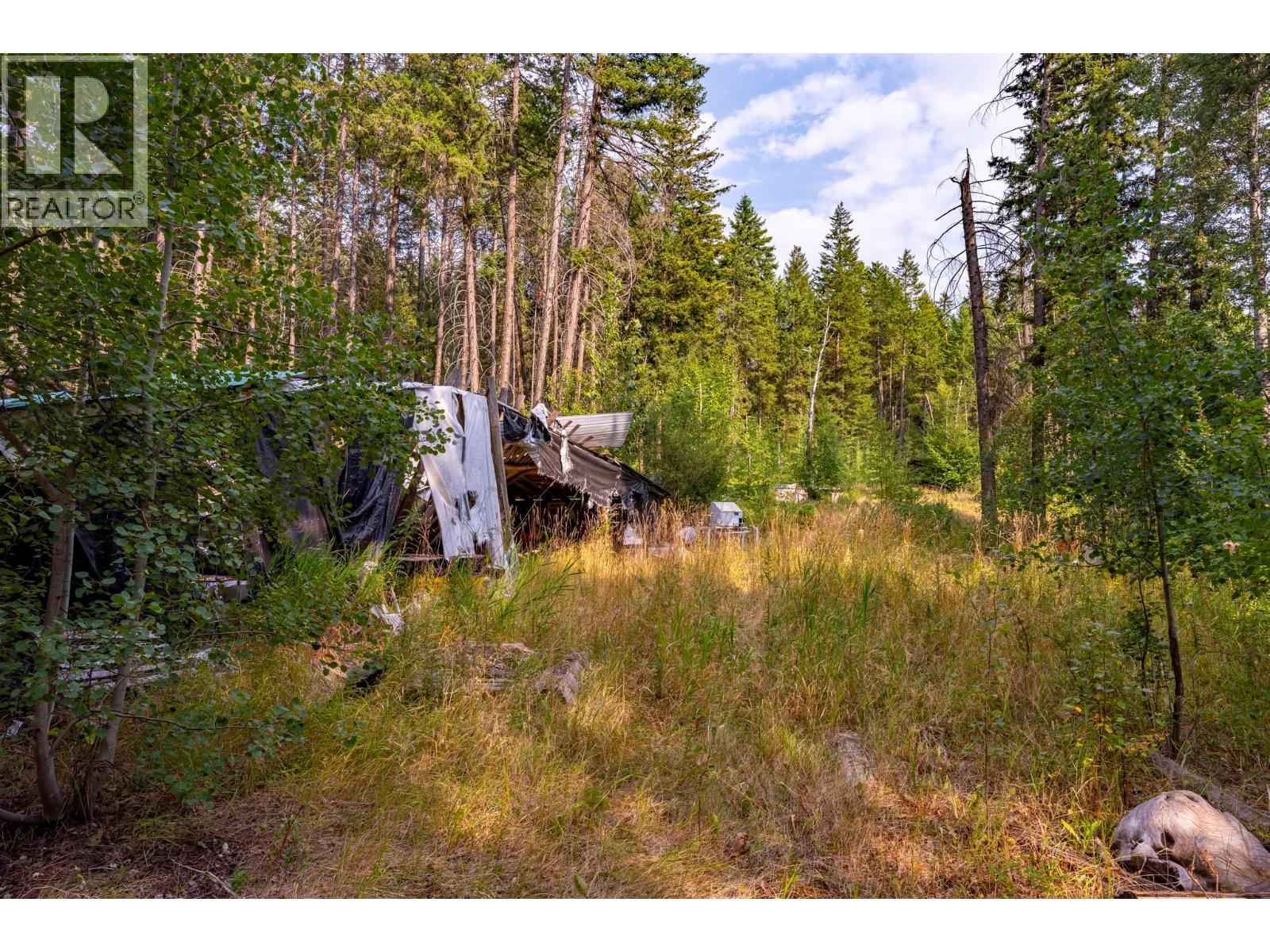  1396 Campbell Road, Golden - Image 1