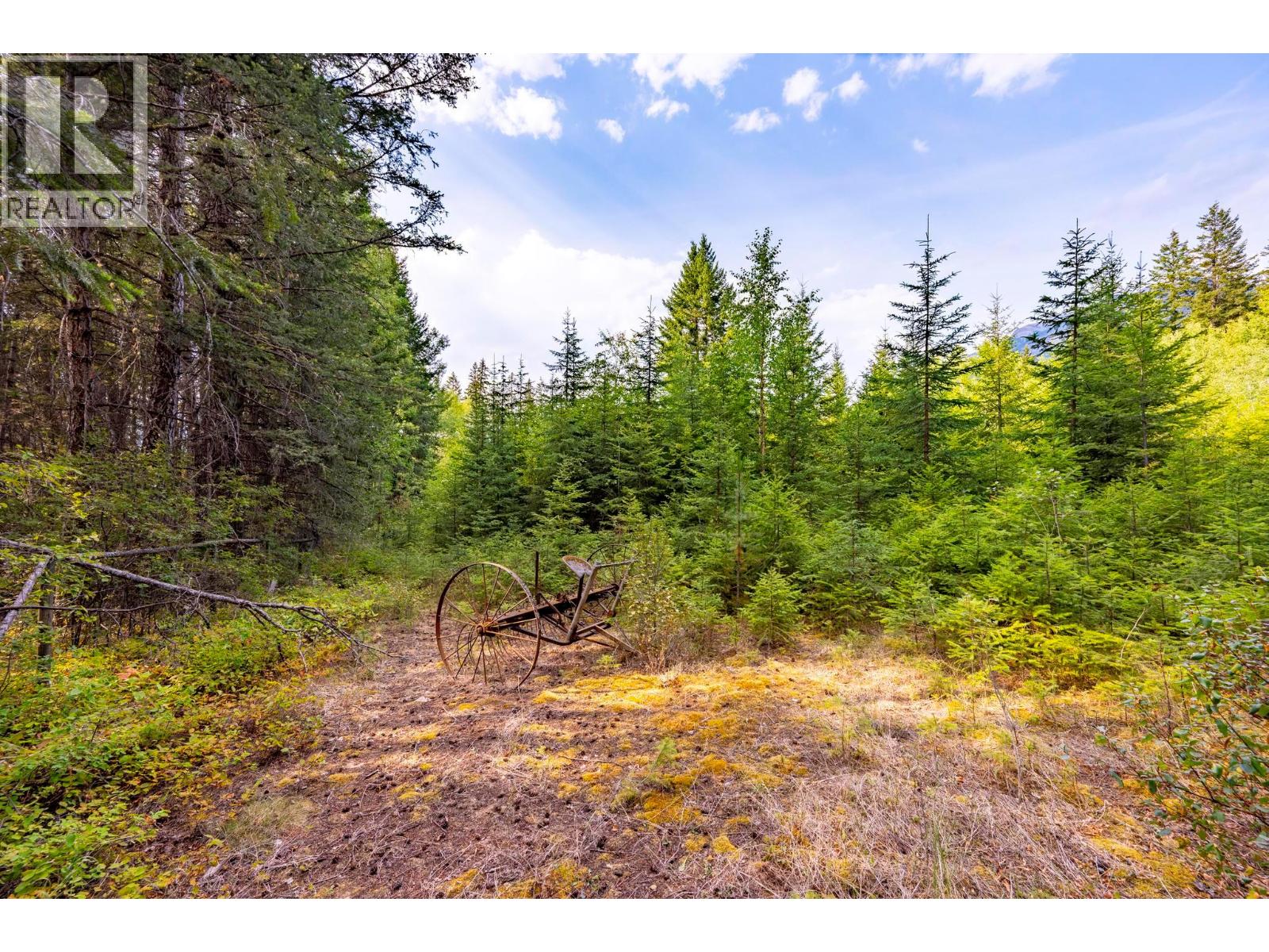  1396 Campbell Road, Golden - Image 1