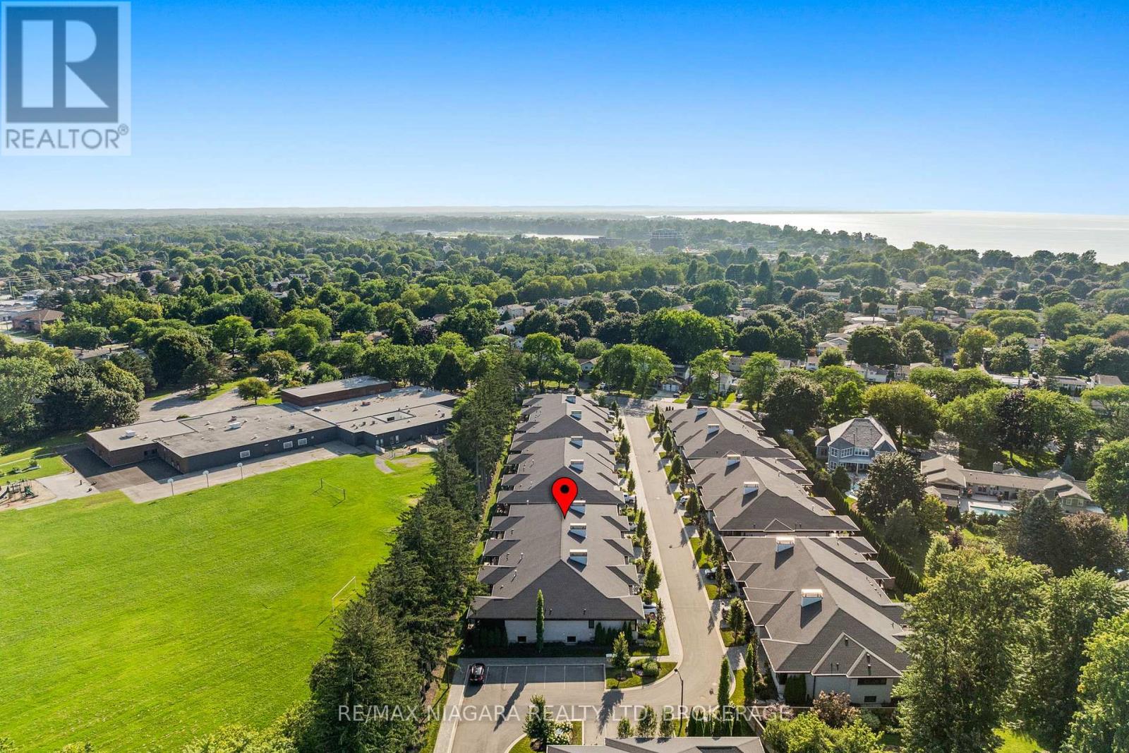 37 PEACH TREE COMMON - Image 35