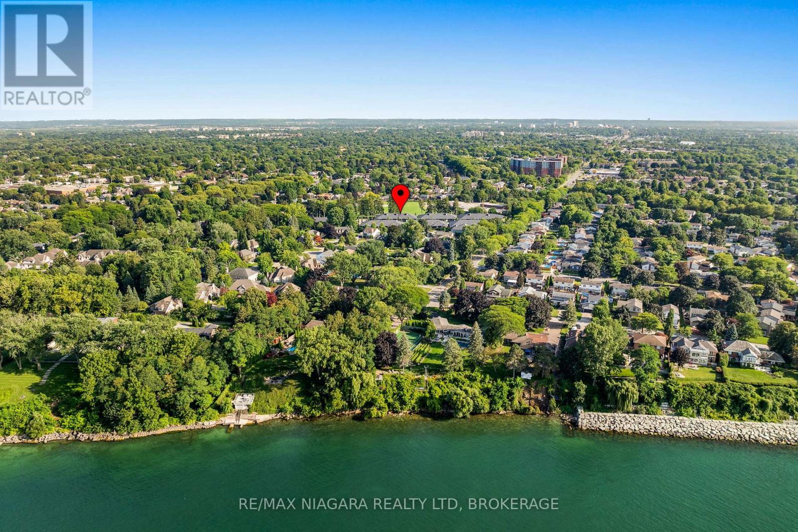 37 PEACH TREE COMMON - Image 36