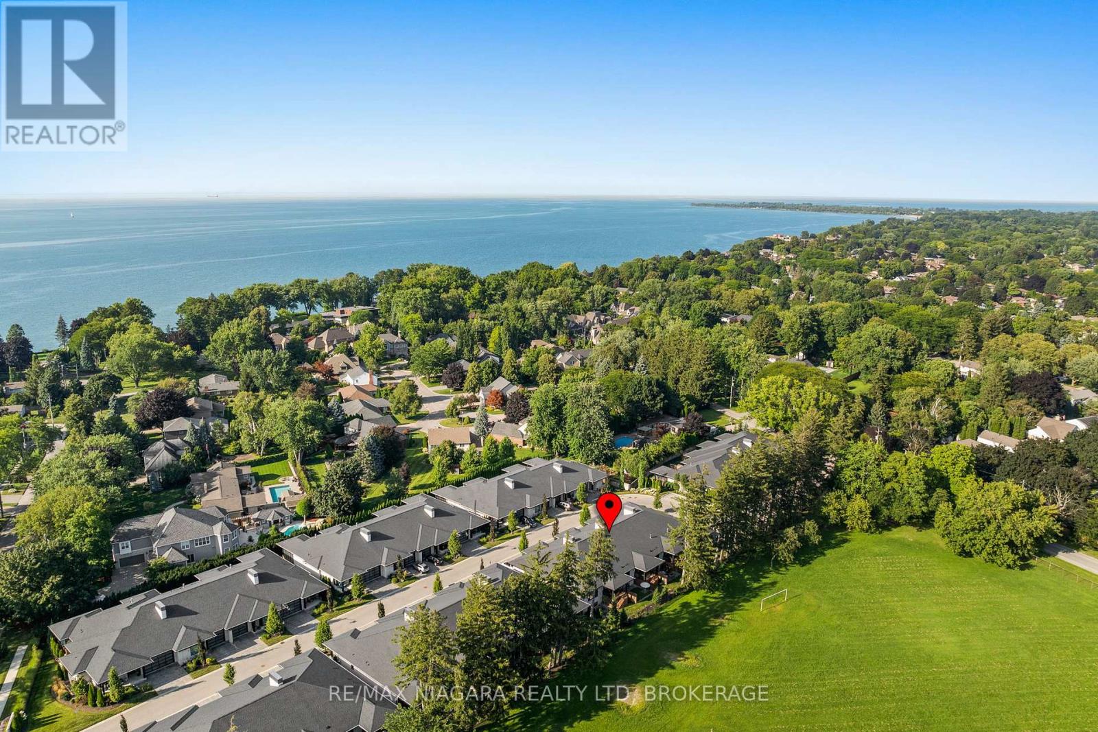37 PEACH TREE COMMON - Image 37