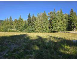 32221 Richards Avenue, Mission, BC V4S1K8 Photo 7