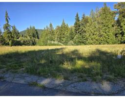 32221 Richards Avenue, Mission, BC V4S1K8 Photo 6