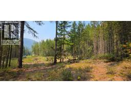 4820 Highway 33, Beaverdell, BC V0H1A0 Photo 73