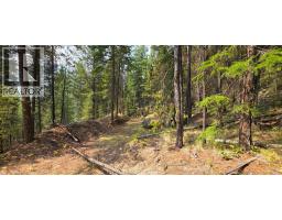 4820 Highway 33, Beaverdell, BC V0H1A0 Photo 71