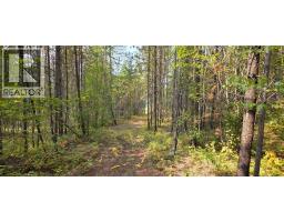 4820 Highway 33, Beaverdell, BC V0H1A0 Photo 72