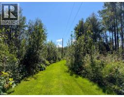 20 Peace River Avenue, Rural Big Lakes County, AB T0G1J0 Photo 33