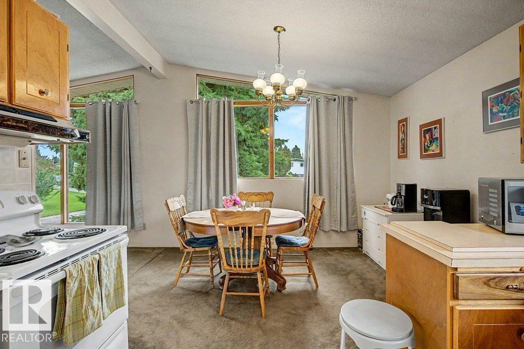 10247 63A ST NW - Image 13