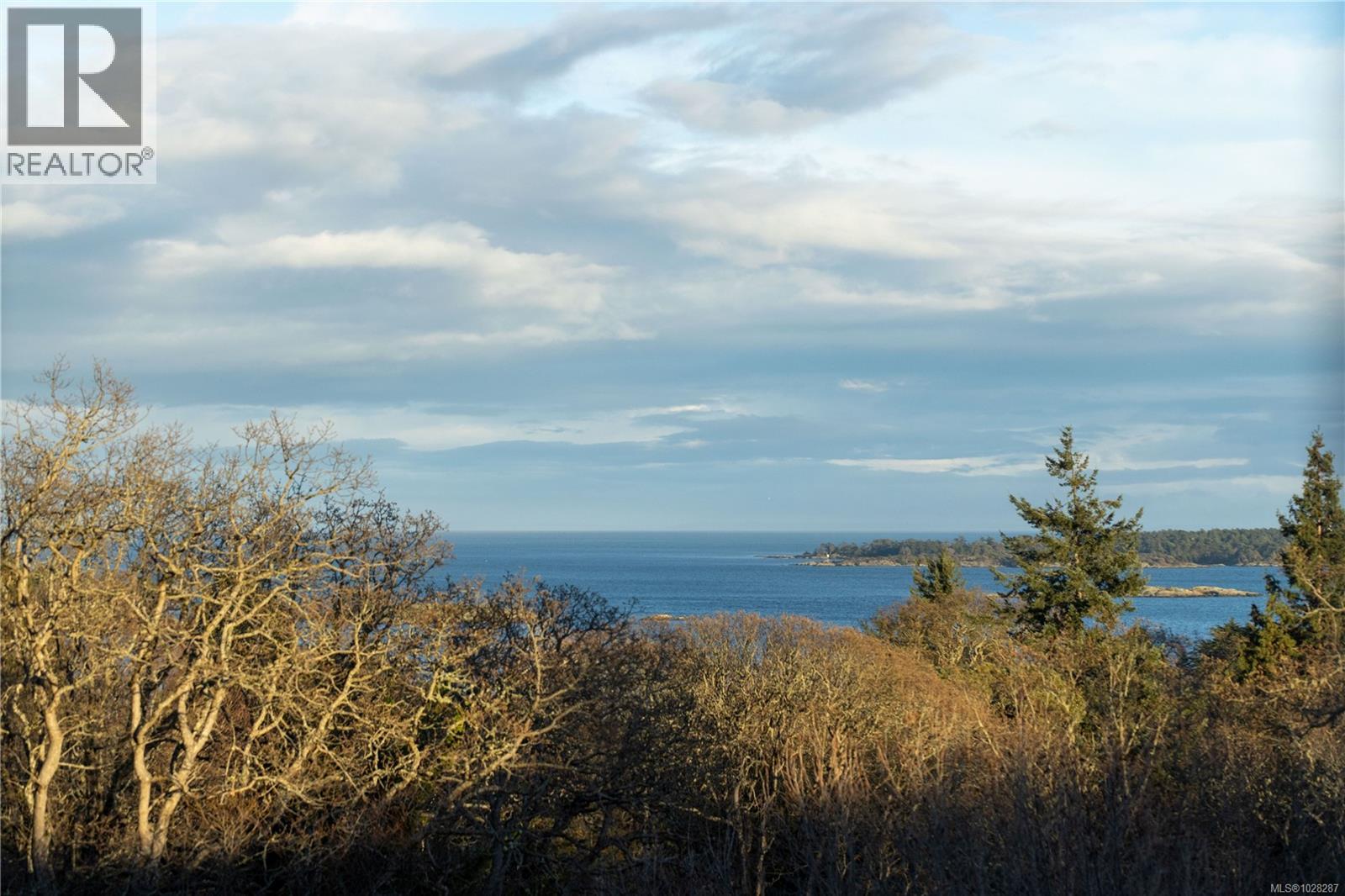 3475 Upper Terrace Rd - Image 4