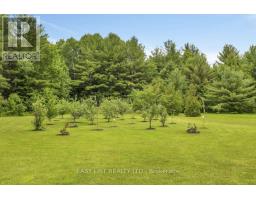 2882 B Line Road, Laurentian Valley, ON K8A6W8 Photo 34