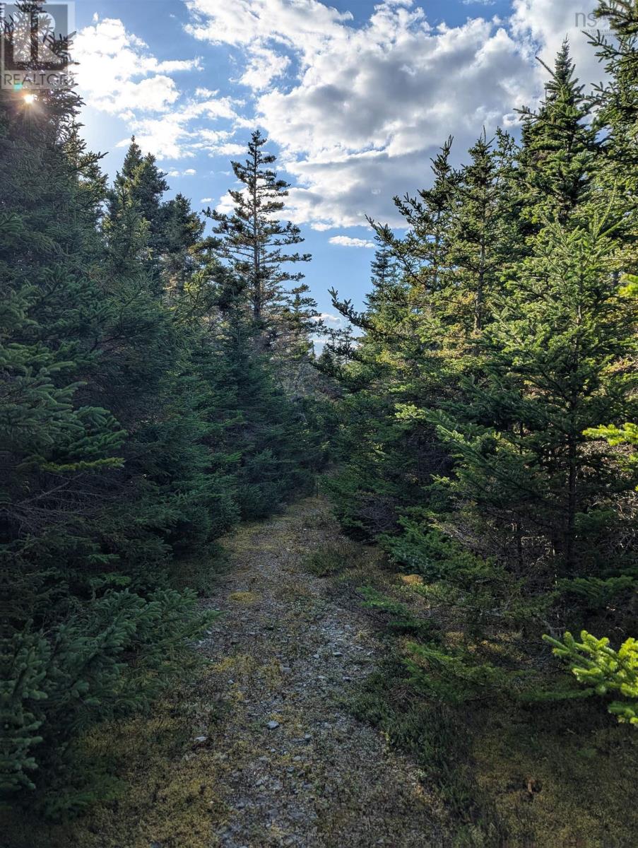 Property 23 of 50 of Lot B Sober Island Road